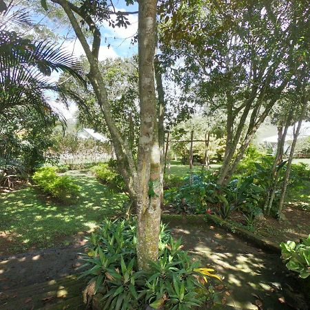Tribu Ecohostal Los Santos  Eksteriør bilde