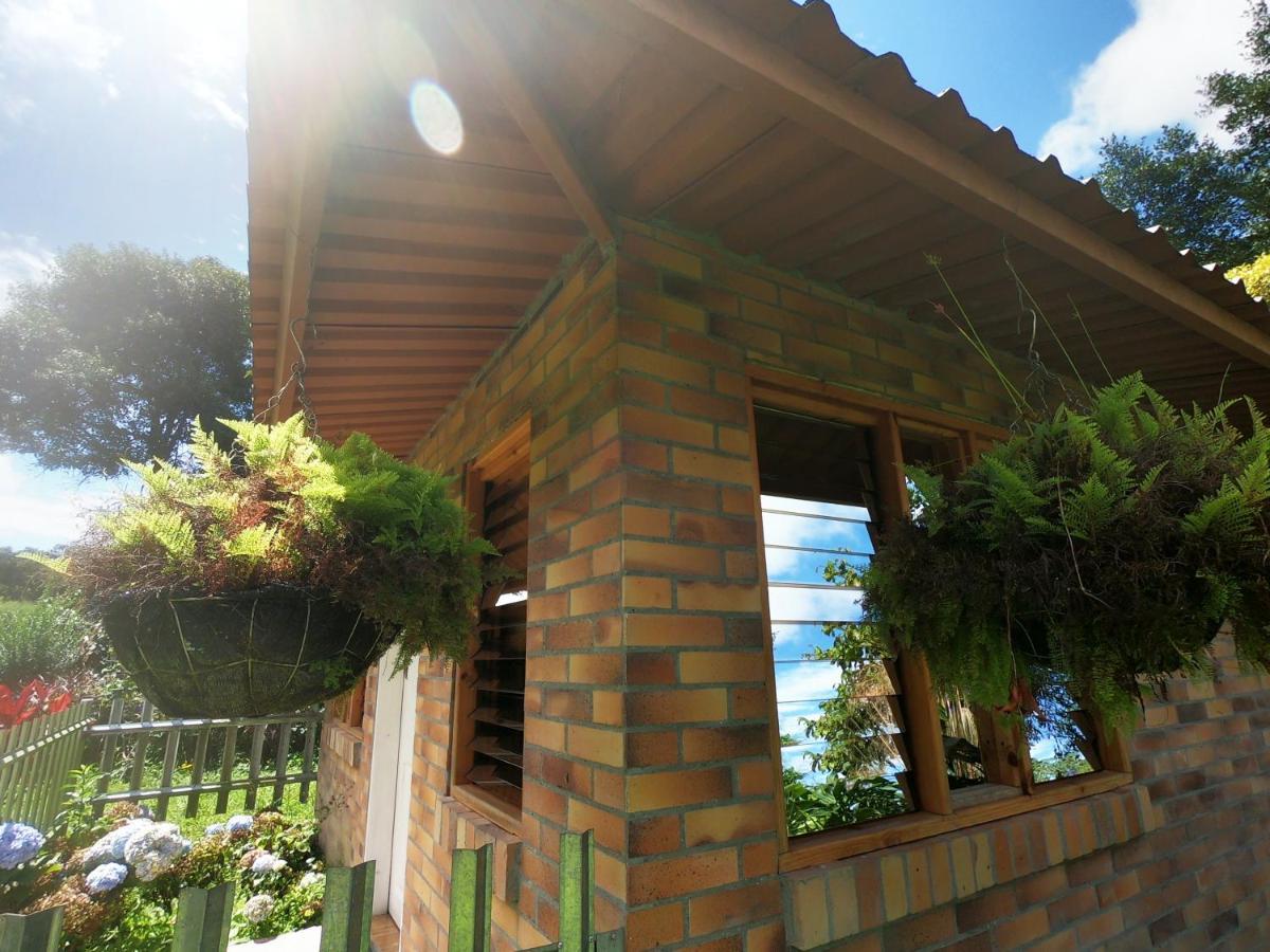 Tribu Ecohostal Los Santos  Eksteriør bilde