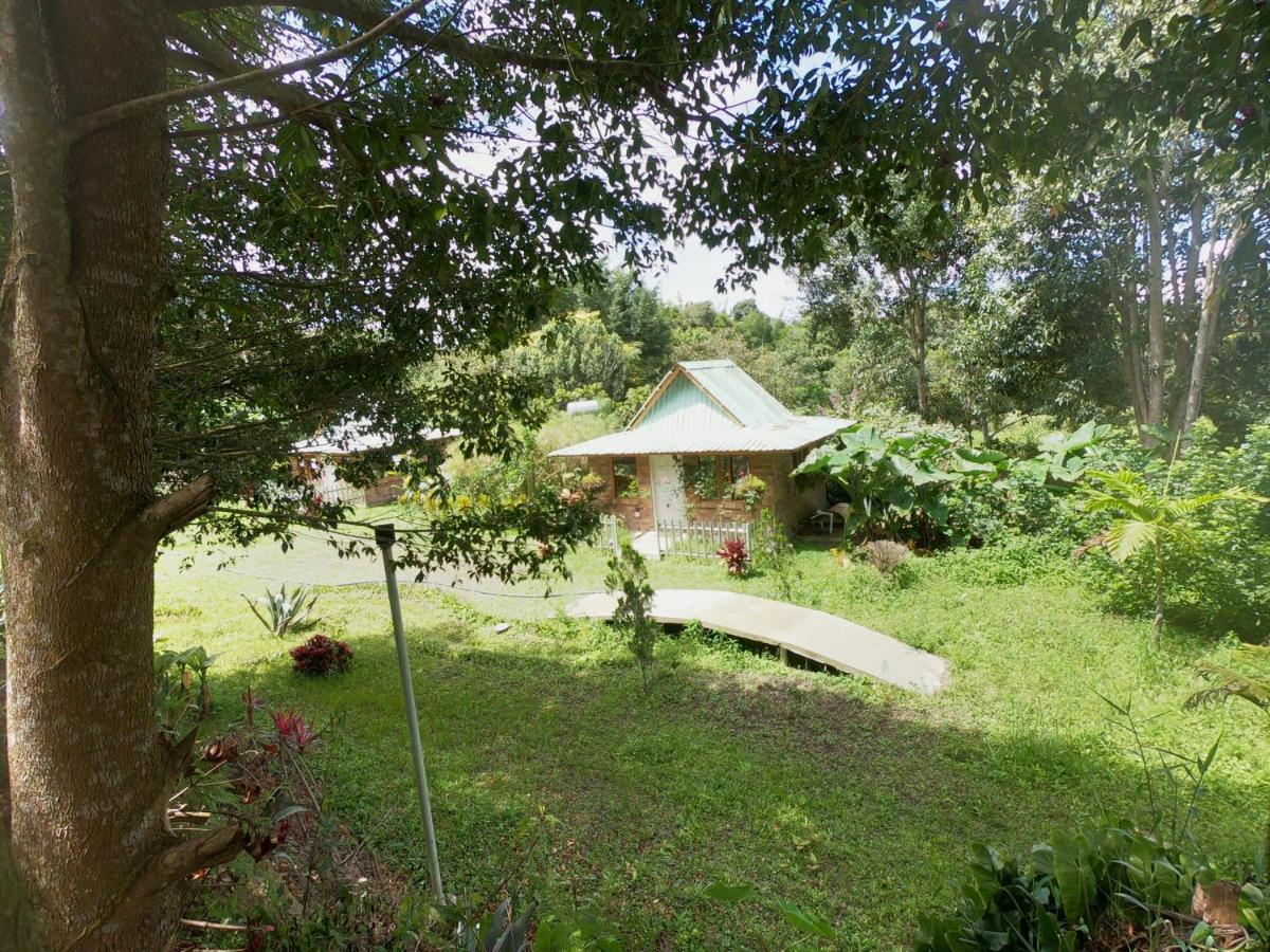 Tribu Ecohostal Los Santos  Eksteriør bilde