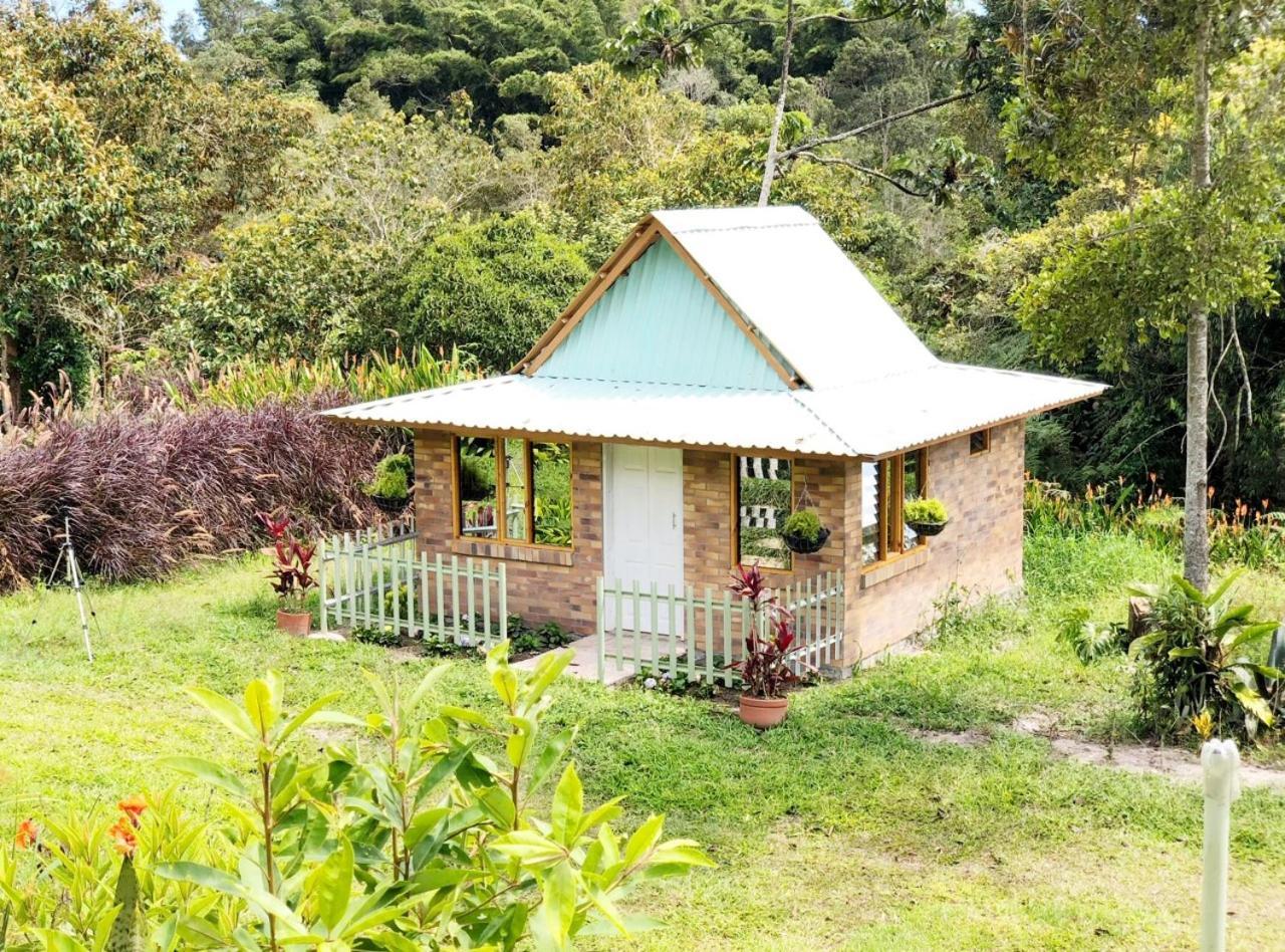 Tribu Ecohostal Los Santos  Eksteriør bilde